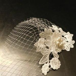 Birdcage Veil~Bridal Lace Pearl Crystal Fascinator